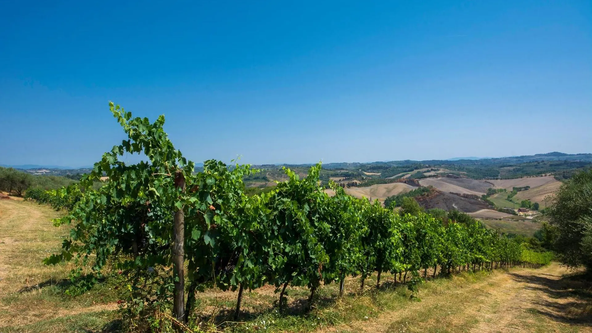 Amazing Chianti Site With Shared Pool - Happy Rentals Castelfiorentino 0*,