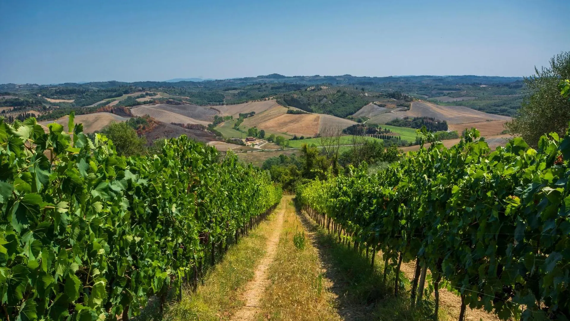 Amazing Chianti Site With Shared Pool - Happy Rentals Castelfiorentino 0*,